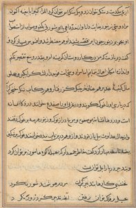 Pagina da Storie di un pappagallo (Tuti-nama): pagina di testo da Unknown artist