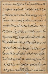 Pagina da Storie di un pappagallo (Tuti-nama): pagina di testo da Unknown artist