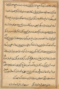 Pagina da Racconti di un pappagallo (Tuti-nama): pagina di testo da Unknown artist