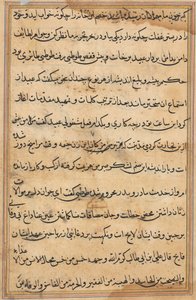 Pagina da Racconti di un pappagallo (Tuti-nama): pagina di testo da Unknown artist