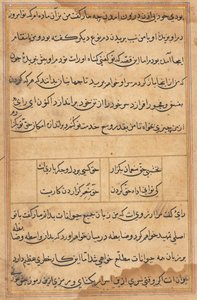 Pagina da Racconti di un pappagallo (Tuti-nama): pagina di testo da Unknown artist