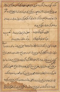 Pagina da Racconti di un pappagallo (Tuti-nama): pagina di testo da Unknown artist