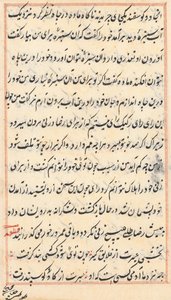 Pagina da Racconti di un pappagallo (Tuti-nama): pagina di testo da Unknown artist