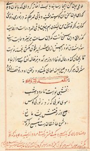 Pagina da Racconti di un pappagallo (Tuti-nama): pagina di testo da Unknown artist