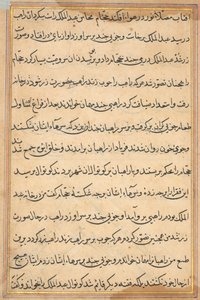 Pagina da Racconti di un pappagallo (Tuti-nama): pagina di testo da Unknown artist