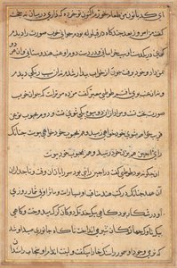 Pagina da Storie di un pappagallo (Tuti-nama): pagina di testo da Unknown artist