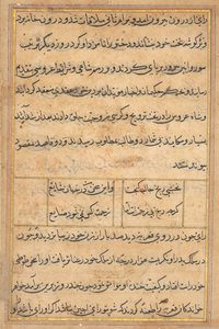 Pagina da Storie di un pappagallo (Tuti-nama): pagina di testo da Unknown artist