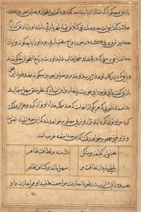 Pagina da Storie di un pappagallo (Tuti-nama): pagina di testo da Unknown artist