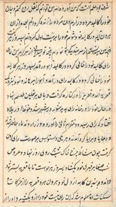Pagina da Storie di un pappagallo (Tuti-nama): pagina di testo da Unknown artist