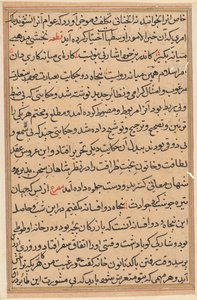 Pagina da Storie di un pappagallo (Tuti-nama): pagina di testo da Unknown artist