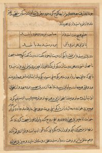 Pagina da Storie di un pappagallo (Tuti-nama): pagina di testo da Unknown artist