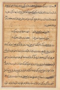 Pagina da Storie di un pappagallo (Tuti-nama): pagina di testo da Unknown artist