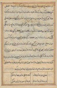 Pagina da Storie di un pappagallo (Tuti-nama): pagina di testo da Unknown artist