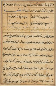 Pagina da Storie di un pappagallo (Tuti-nama): pagina di testo da Unknown artist