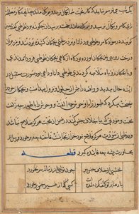 Pagina da Storie di un pappagallo (Tuti-nama): pagina di testo da Unknown artist