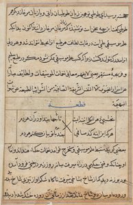 Pagina da Racconti di un pappagallo (Tuti-nama): pagina di testo da Unknown artist