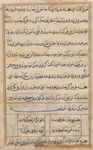 Pagina da Racconti di un pappagallo (Tuti-nama): pagina di testo da Unknown artist