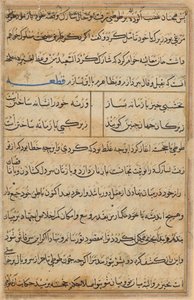 Pagina da Racconti di un pappagallo (Tuti-nama): pagina di testo da Unknown artist
