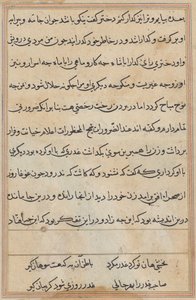 Pagina da Racconti di un pappagallo (Tuti-nama): pagina di testo da Unknown artist