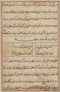Pagina da Racconti di un pappagallo (Tuti-nama): pagina di testo da Unknown artist