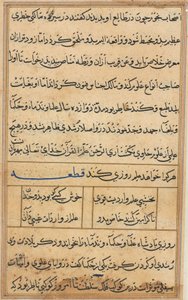 Pagina da Racconti di un pappagallo (Tuti-nama): pagina di testo da Unknown artist
