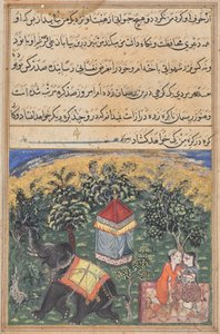 Pagina da Racconti di un pappagallo (Tuti-nama): pagina di testo