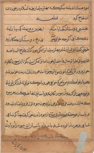 Pagina da Racconti di un pappagallo (Tuti-nama): pagina di testo da Unknown artist