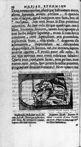 Pagina illustrata da un