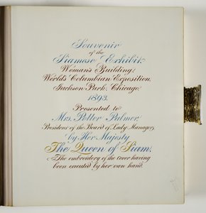 Pagina in album fotografico