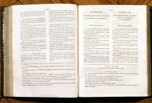 Pagine del Codice Civile di Napoleone. in francese e italiano da Unknown artist