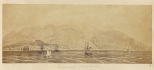 [Panorama del porto, Funchal, Madeira]. da Unknown artist