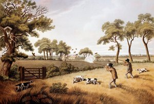 Scena di caccia alla pernice: litografia del XIX secolo da Unknown artist