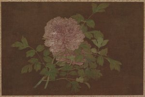 Peonie