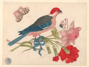 Uccello Rosa, Rosso, Blu e Nero su Ramo con Fiori e Farfalle da Unknown artist
