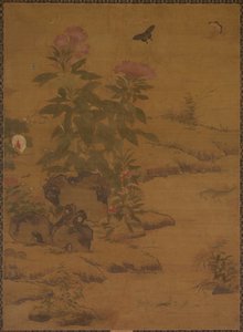 Piante e insetti da Unknown artist