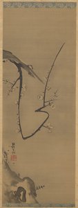 Albero di Prugne da Unknown artist