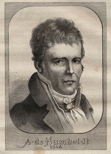 Ritratto di Alexander von Humboldt (1769-1859) - illustrazione da 