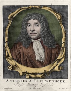 Ritratto di Antonie Van Leeuwenhoek, naturalista olandese (1632-1723). Incisione del 1722 da Unknown artist