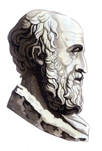 Ritratto dell