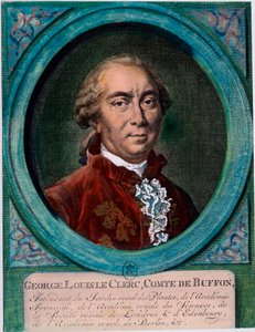 Ritratto di George Louis Le Clerc, Conte di Buffon da Unknown artist