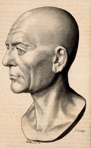 Ritratto di Publio Cornelio Scipione (Scipione l