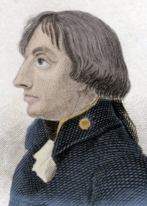 Ritratto del Vice Ammiraglio Nelson (Horatio Nelson) da Unknown artist