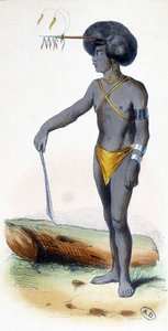 Ritratto di un papuano, popolo della Nuova Guinea. da Unknown artist