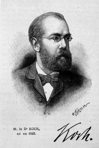 Ritratto del medico tedesco Robert Koch (1843-1910) da Unknown artist