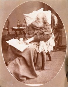 Ritratto del patriota italiano Giuseppe Garibaldi a Caprera nel 1882