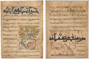 Qualità delle tortore (recto); Sui benefici delle quaglie (verso), da un Manafi