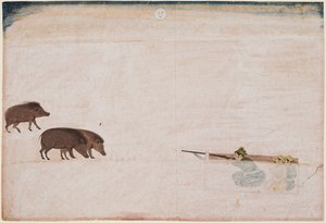 Raja Ram Chand di Amber a caccia di cinghiali selvatici da Unknown artist