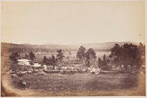 Valle dei Rangers, Nord Est, Glen Innes da Unknown artist