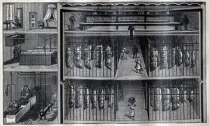Magazzini refrigerati per carne - Incisione da "La Science française" da Unknown artist