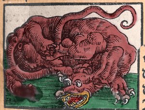 Rappresentazione di un drago. Incisione da 